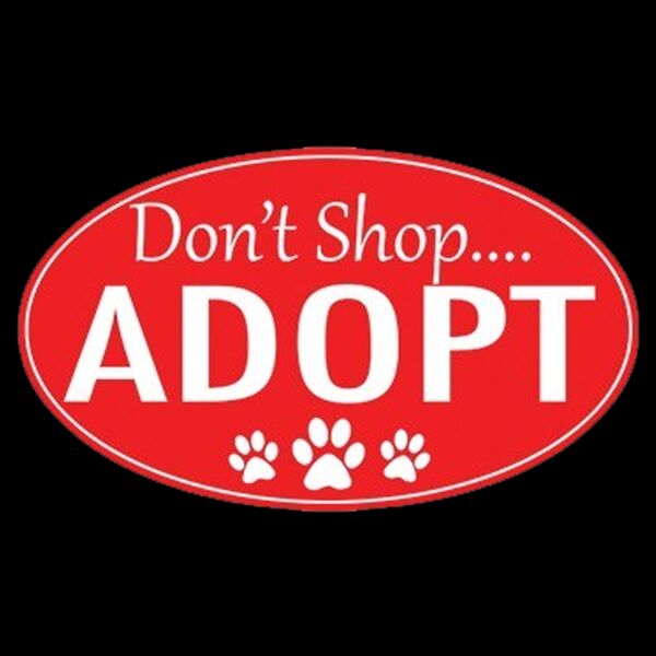 Adopt Don t Shop Thumbnail