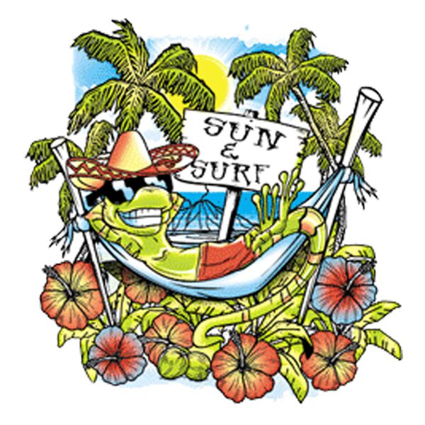 Sun   Surf Thumbnail