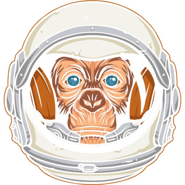 Astro Chimp Thumbnail