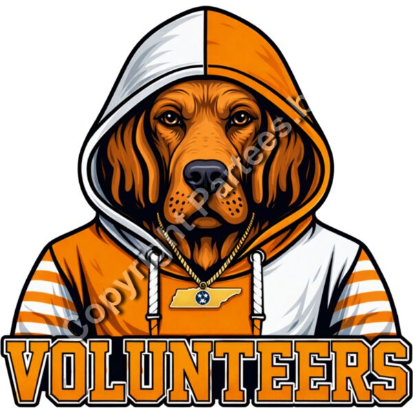 Tennesse Volunteers Hoodie Thumbnail