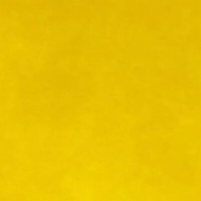 Yellow   Heritage Thumbnail