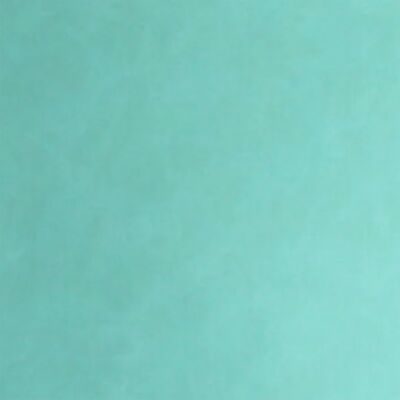 Seafoam   Heritage Thumbnail