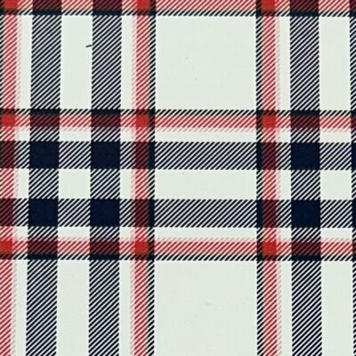 Patriotic Plaid Thumbnail